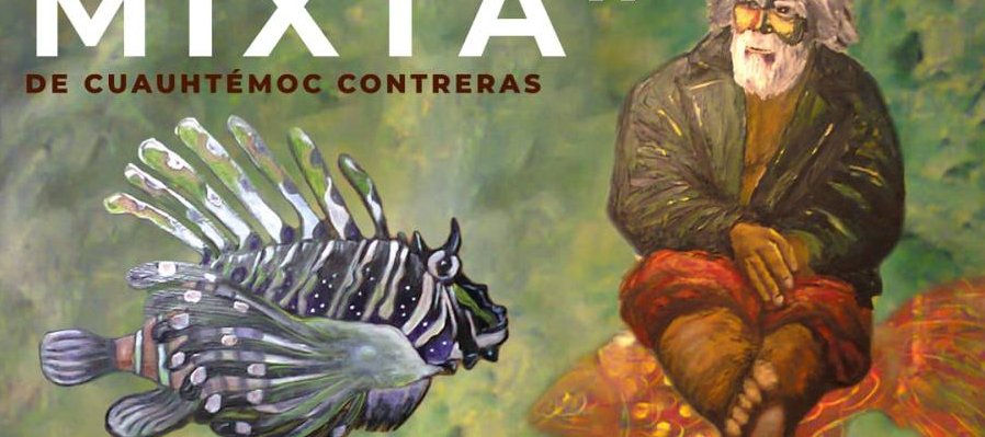 Naturaleza mixta