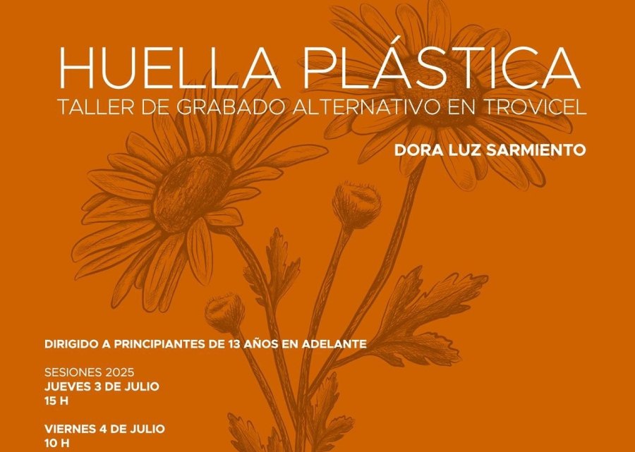 Imagen muestra de la actividad Huella plástica
