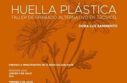 Imagen muestra de la actividad Huella plástica