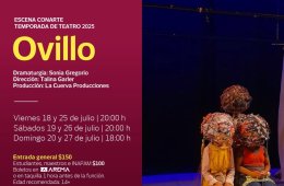 Imagen muestra de la actividad Ovillo