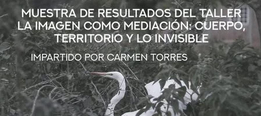 Nada que ver