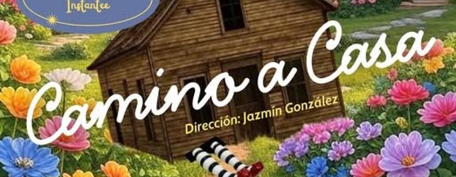 Camino a casa