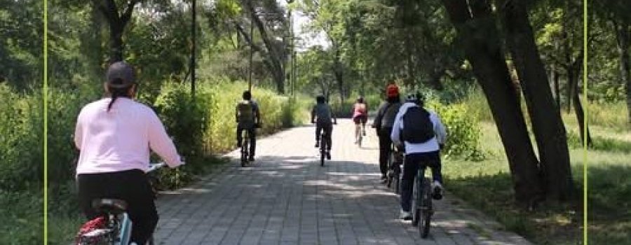 Ambiéntate en bici