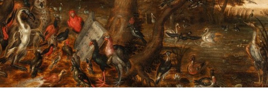 Arte y zoología