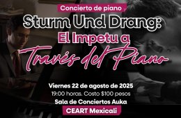 Imagen muestra de la actividad Sturm und Drang