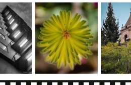 Imagen muestra de la actividad Fotografía Integral y Creativa
