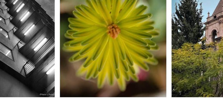 Fotografía Integral y Creativa