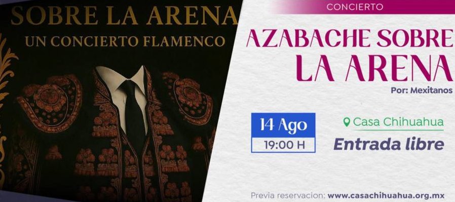 Azabache sobre la arena