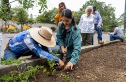 Imagen muestra de la actividad Curso de agroecología