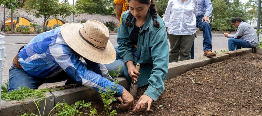 Curso de agroecología- Agosto.