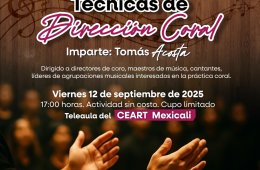 Imagen muestra de la actividad Técnicas de dirección coral