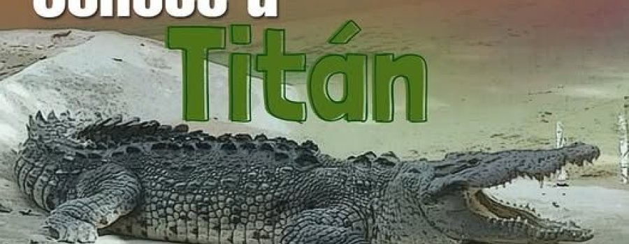 Conoce a Titán