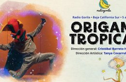 Imagen muestra de la actividad Origami tropical