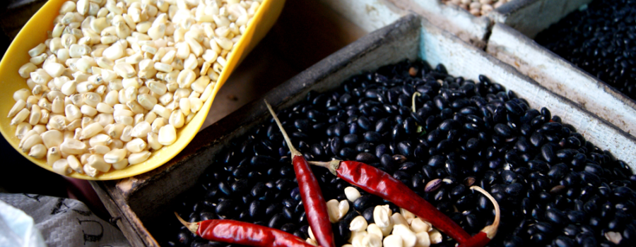 "Comiéndonos el mundo", Historia (de algunos) ingredientes mexicanos y del mundo en el Mercado de Jamaica.