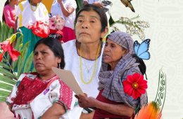 Imagen muestra de la actividad Primer Encuentro Estatal de Mujeres Indígenas