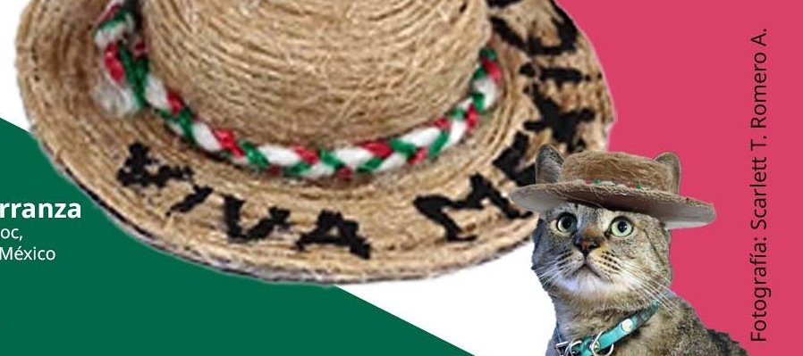 Llavero patrio