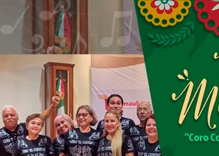 Imagen muestra de la actividad Viva México