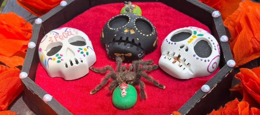 Calaveritas de la extinción