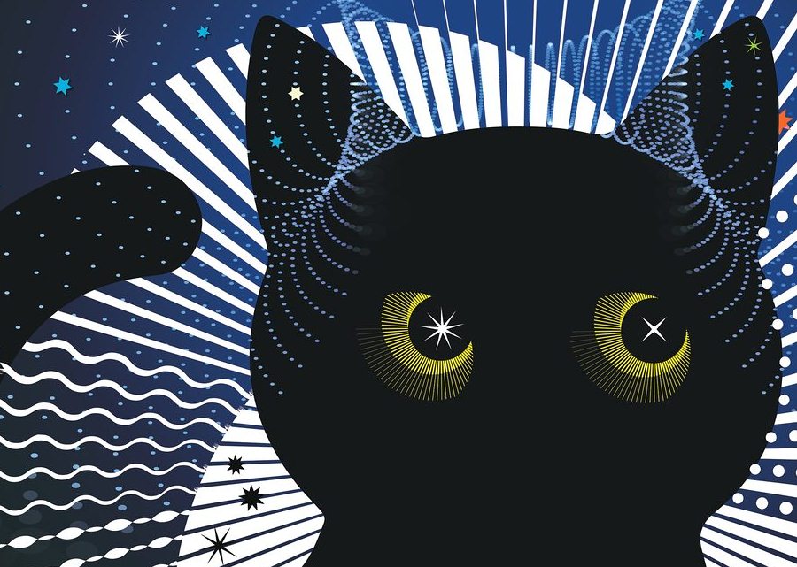 Imagen muestra de la actividad Entre estrellas y átomos