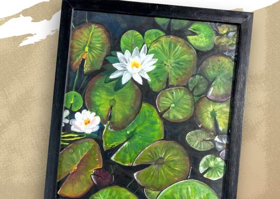 Imagen muestra de la actividad Tabasco Vivo