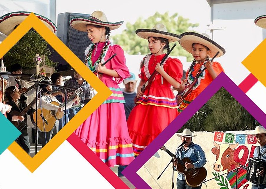 Imagen muestra de la actividad Raíces que crean