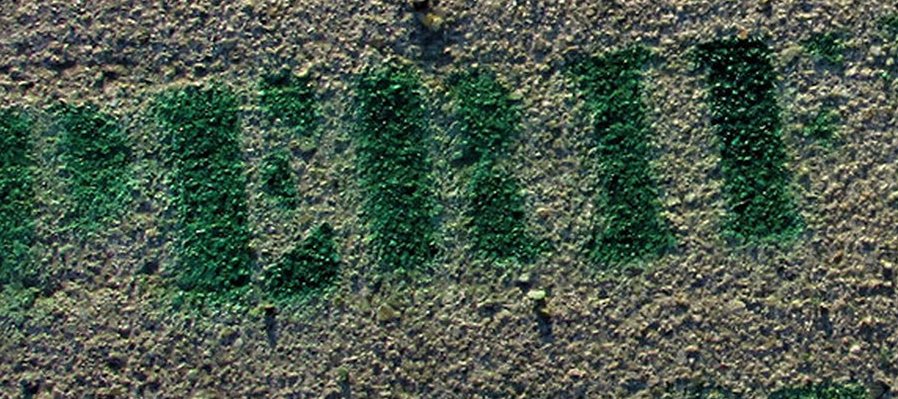 La periferia resiste