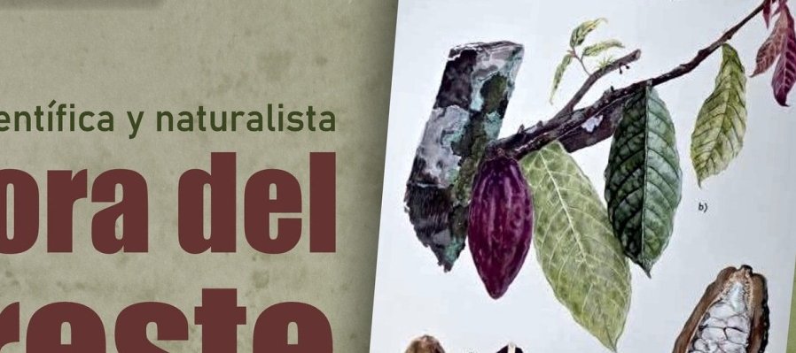 La flora del sureste