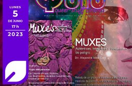 Imagen muestra de la actividad: Muxes: auténticas, intrépidas y buscadoras de peligro