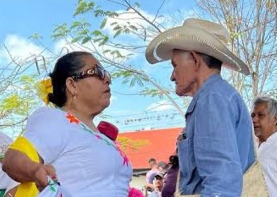 Imagen muestra de la actividad Huapango huasteco