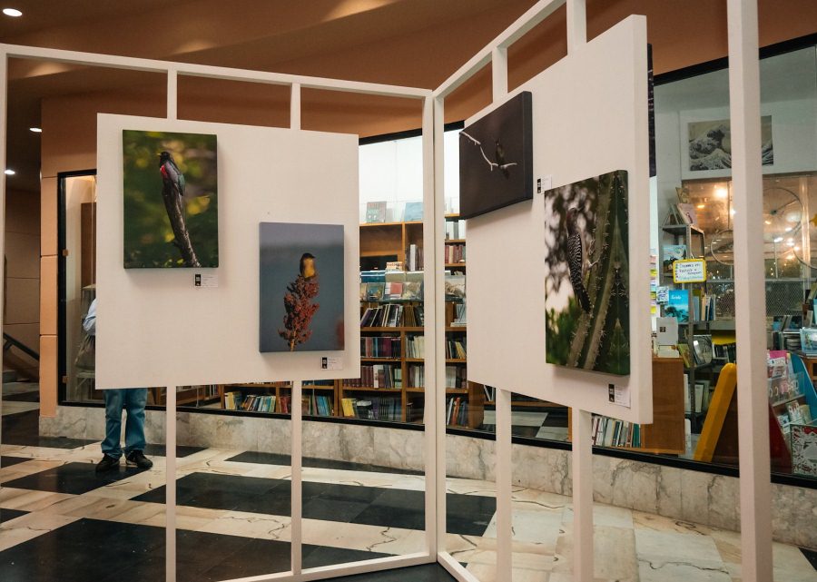 Imagen muestra de la actividad 100 imágenes