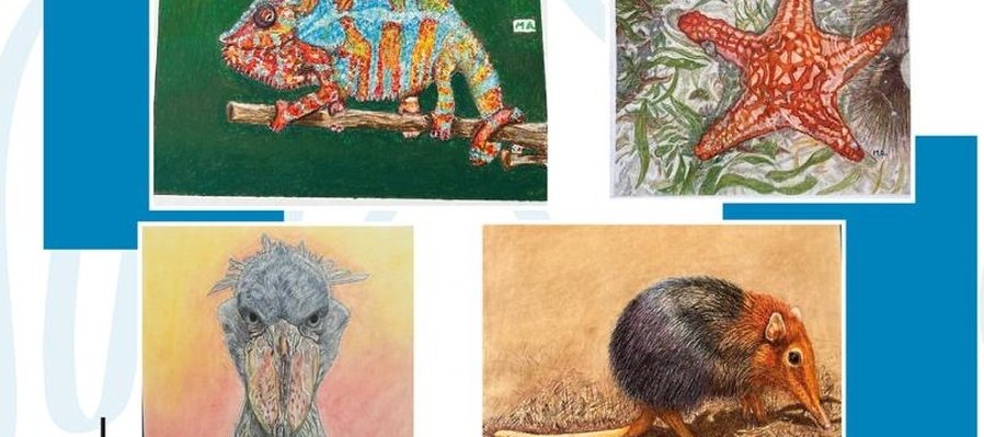 El canto de los gorilas