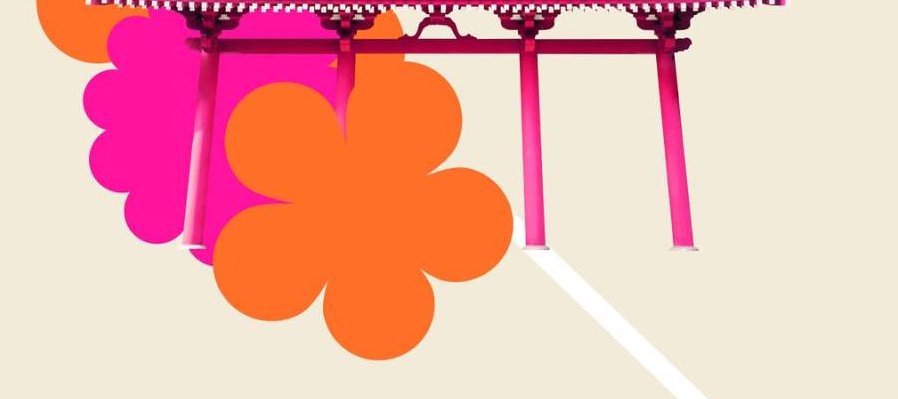 No soy tu tipo de mestiza