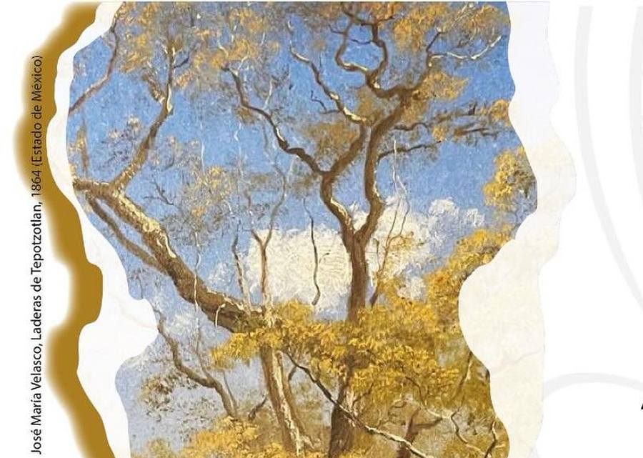 Imagen muestra de la actividad El caminante