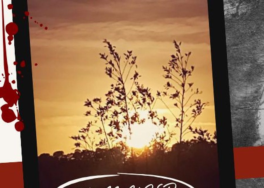 Imagen muestra de la actividad 