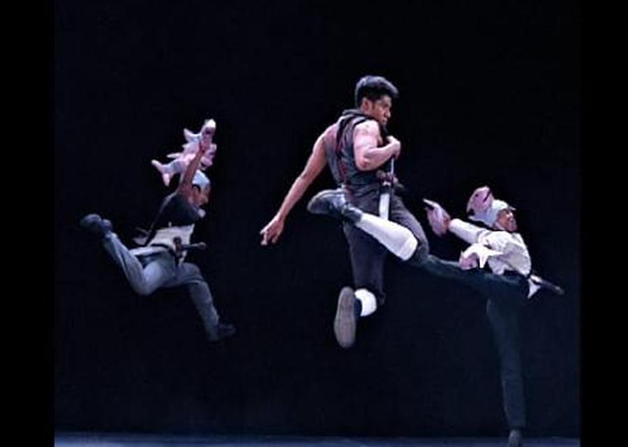 Imagen muestra de la actividad Moby Dick