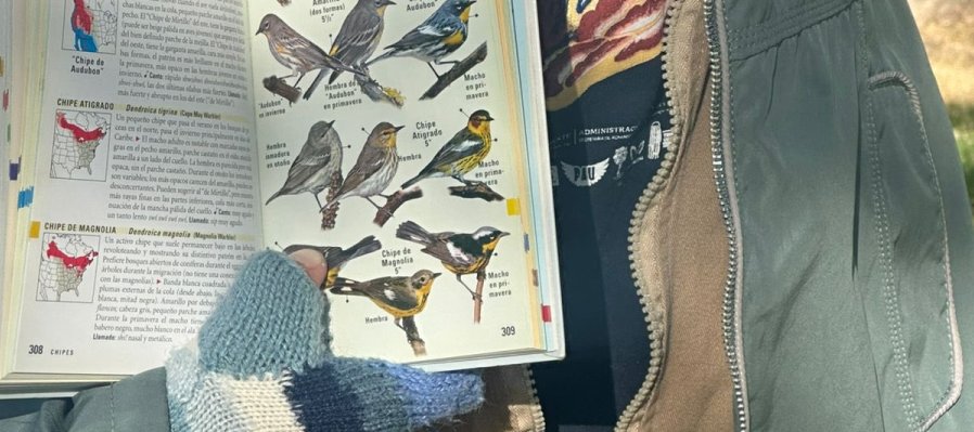Observación de Aves en el Museo Nacional de los Ferrocarriles Mexicanos
