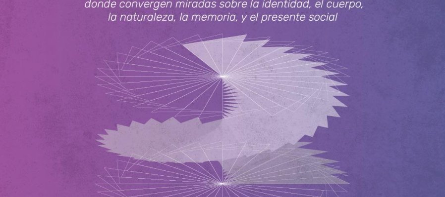 Ciclo Contracorriente