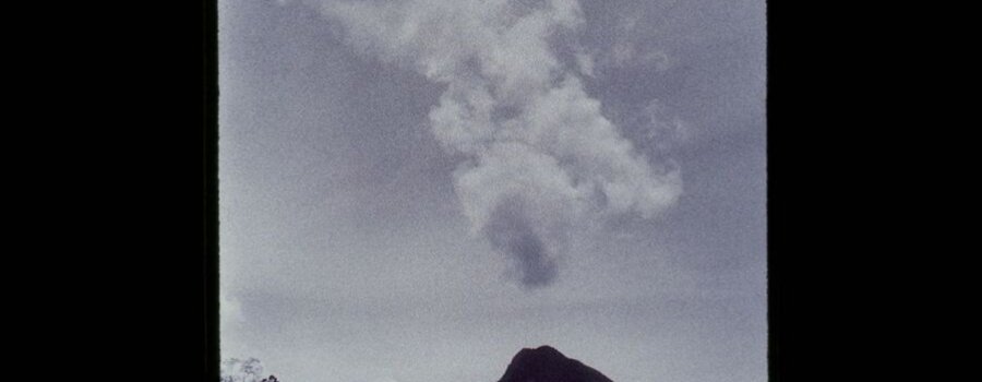 Wayamou: Lenguas de lo común