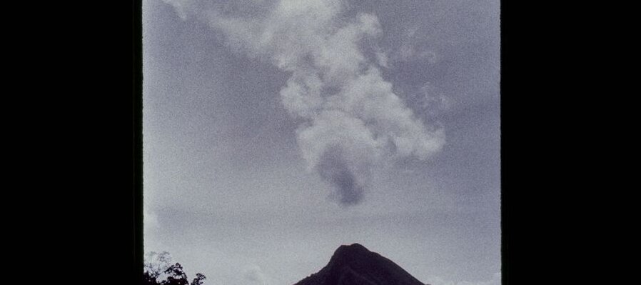 Wayamou: Lenguas de lo común