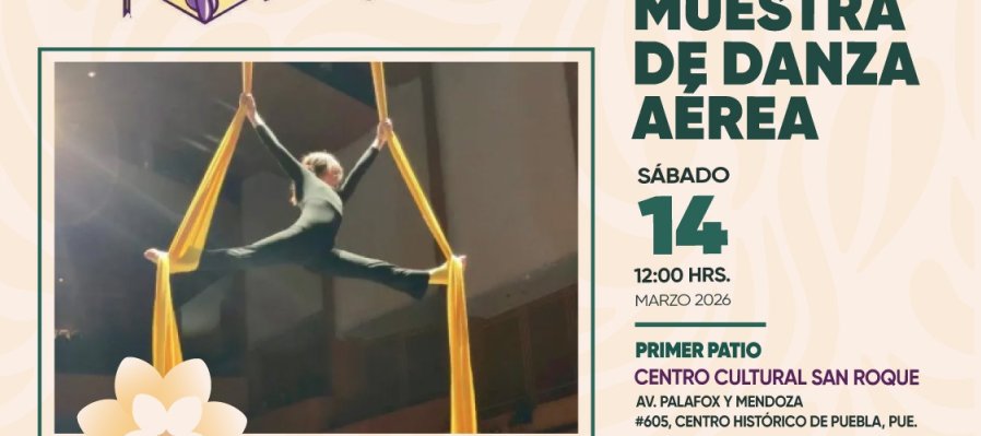 Muestra de danza aérea