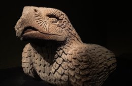 Cuauhtémoc:el último vuelo del águila