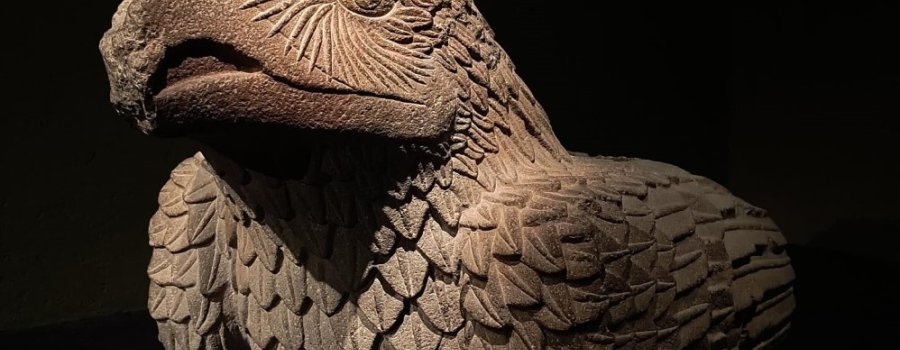 Cuauhtémoc:el último vuelo del águila