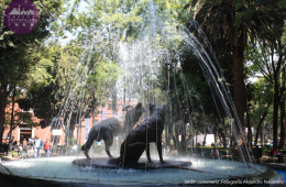 Cinco siglos entre coyotes: el centro de la villa de Coyoacán
