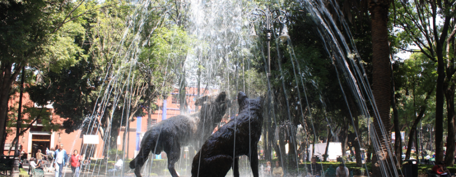 Cinco siglos entre coyotes: el centro de la villa de Coyoacán