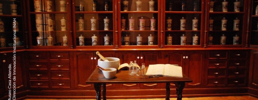 Males y Remedios, la salud en la Ciudad Virreinal. Centro Histórico, Ciudad de México.