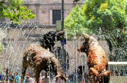 Imagen muestra de la actividad: Coyoacán, un recuerdo de todos. Ciudad de México