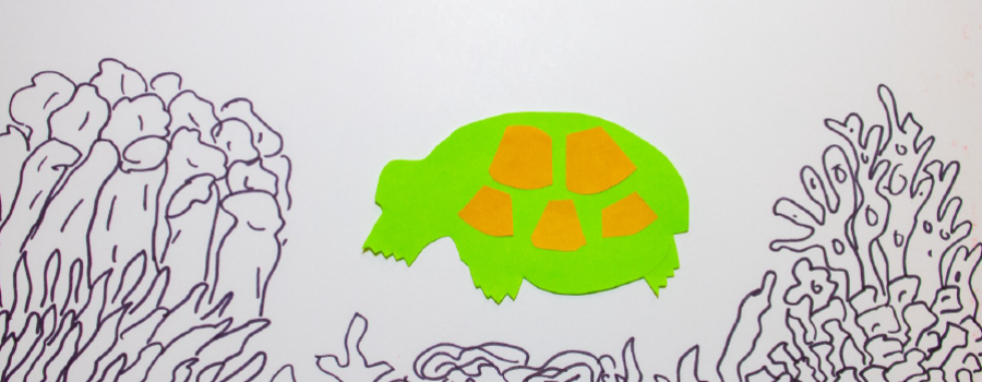 Tortuga silbadora