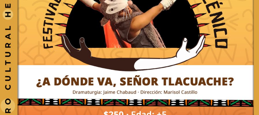 ¿A dónde va, señor tlacuache?