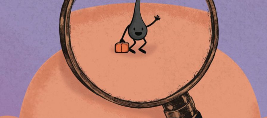 ¿A dónde fueron los cabellos de papá?