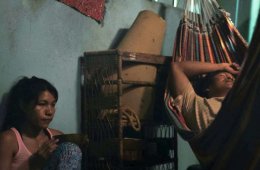 Imagen muestra de la actividad: A Febre